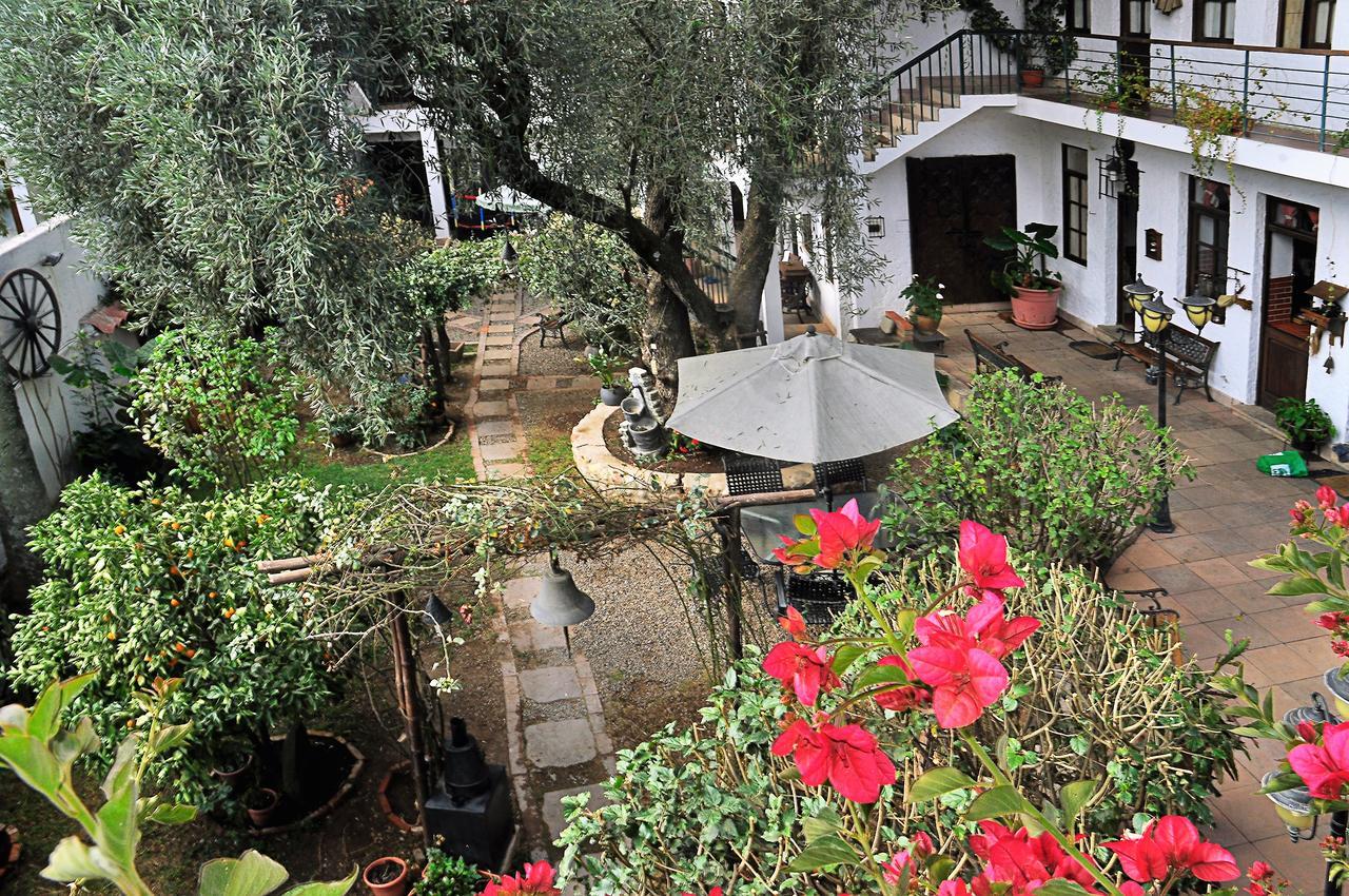 Viejo Olivo B&B Sucre Esterno foto